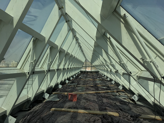 1629425726159329.png 1629425726159329.png